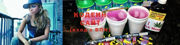 индика Волосово