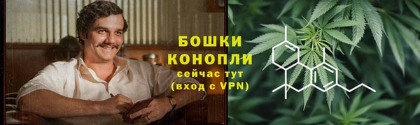 индика Волосово