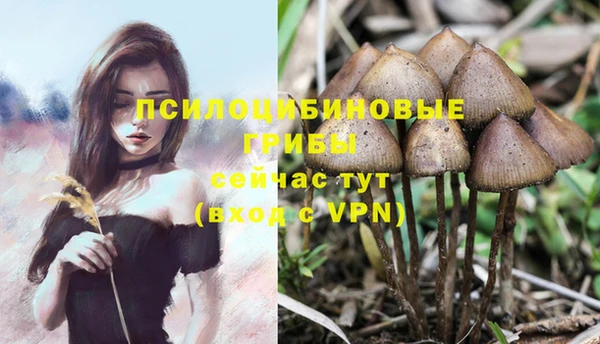 экстази Вязьма