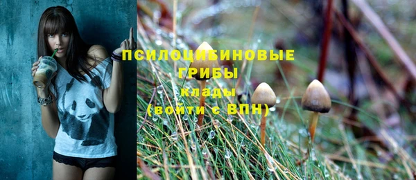 индика Волосово
