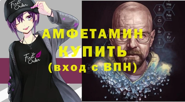 индика Волосово