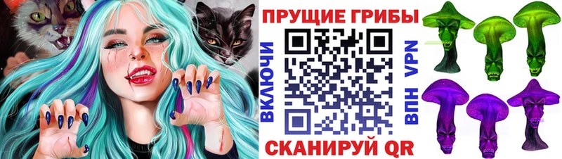 мориарти Telegram где можно купить наркотик Кулебаки Псилоцибиновые грибы мицелий